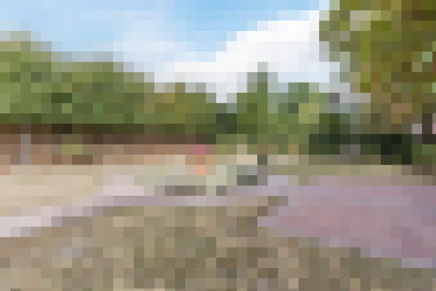 Hof 61 Bergeijk thumbnail 6