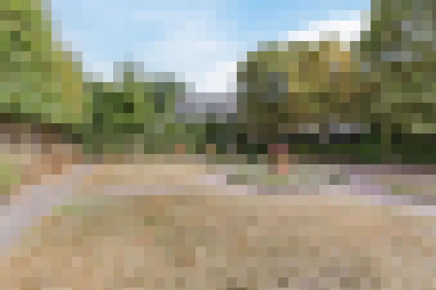 Hof 61 Bergeijk thumbnail 70