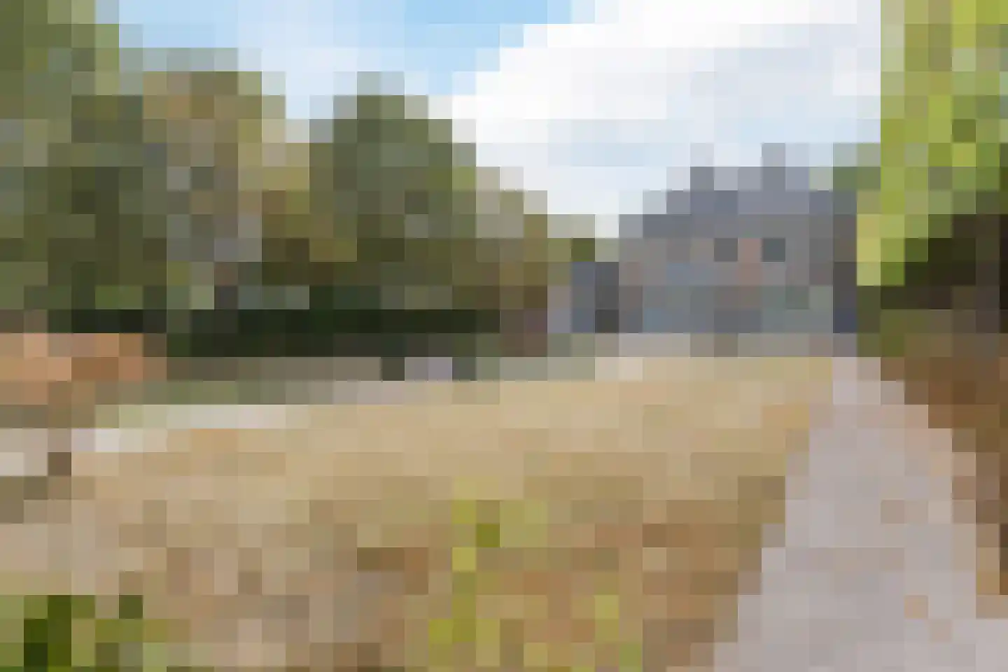Hof 61 Bergeijk thumbnail 71