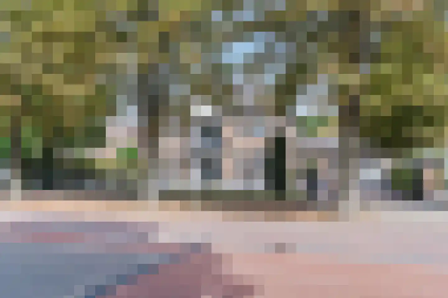 Hof 61 Bergeijk thumbnail 75
