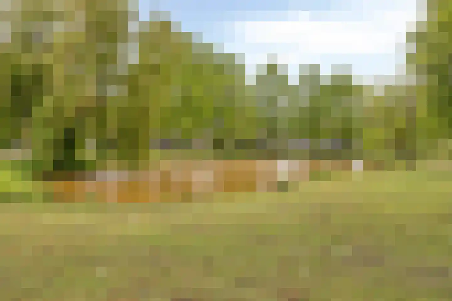 Hof 62 Dongen thumbnail 29