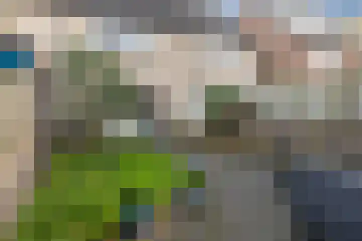 Hof 67 Dongen thumbnail 20