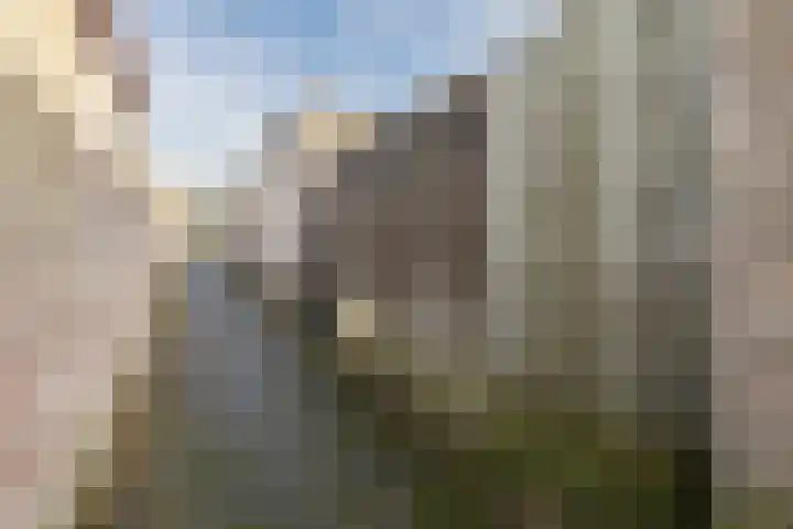 Hof 67 Dongen thumbnail 31