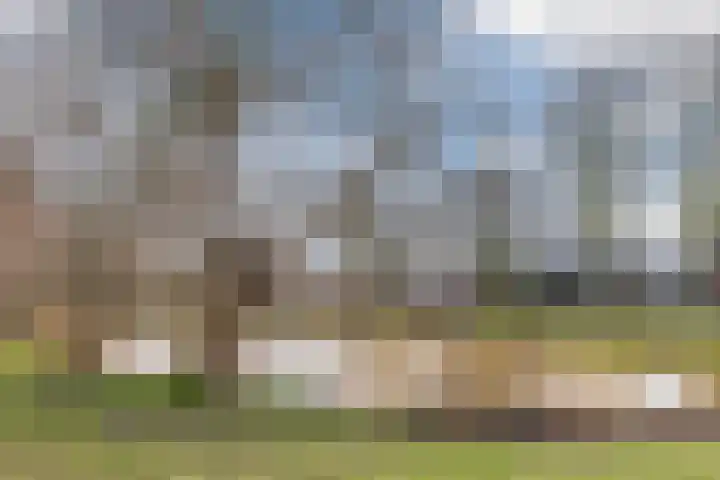 Hof 67 Dongen thumbnail 32