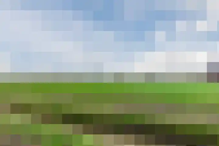 Hof 67 Dongen thumbnail 33