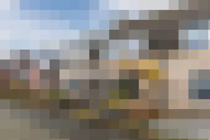 Hof 67 Dongen thumbnail 7