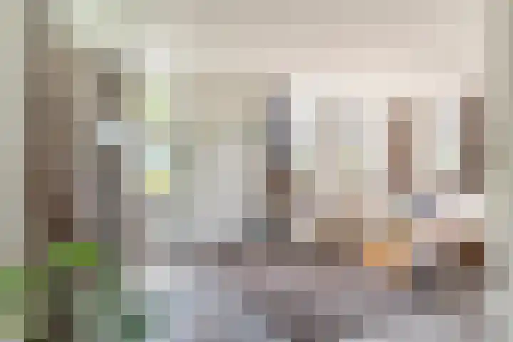 Hof 72 Dongen thumbnail 10