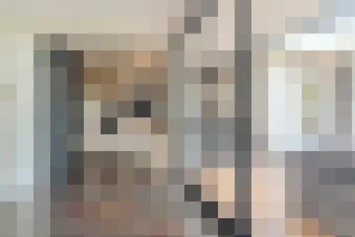 Hof 72 Dongen thumbnail 18