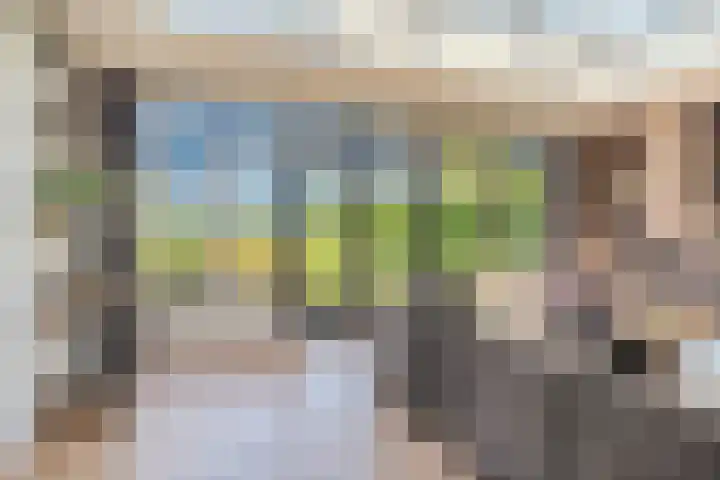 Hof 72 Dongen thumbnail 25