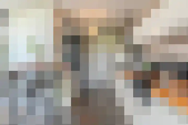 Hof 72 Dongen thumbnail 31