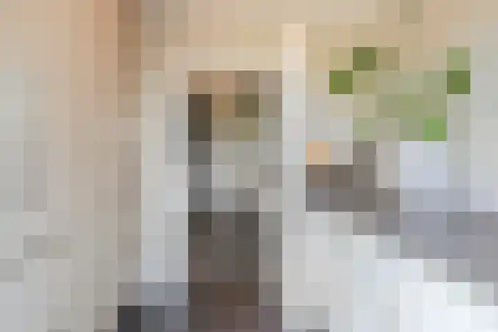 Hof 72 Dongen thumbnail 35