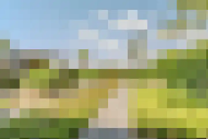 Hof 72 Dongen thumbnail 38