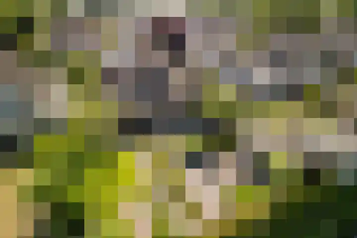 Hof 72 Dongen thumbnail 46