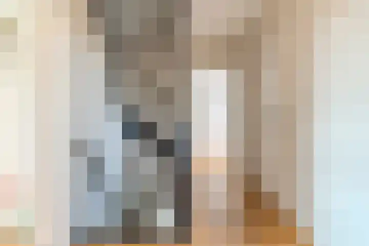 Hof 72 Dongen thumbnail 47