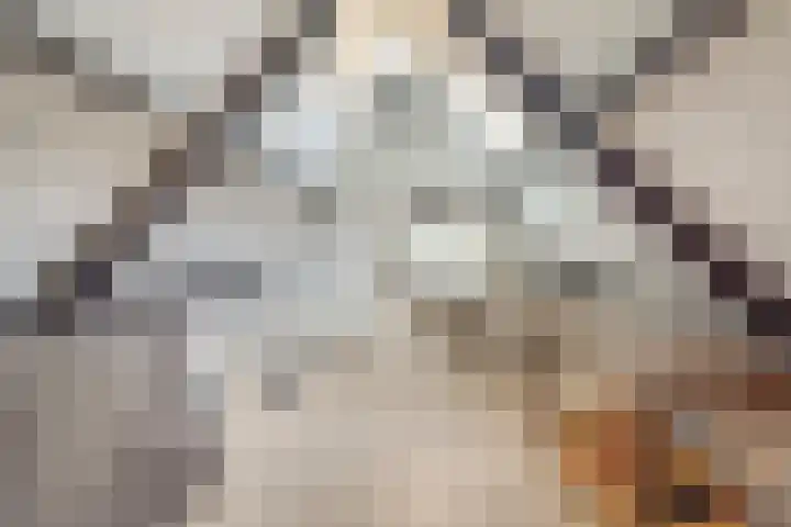 Hof 72 Dongen thumbnail 64