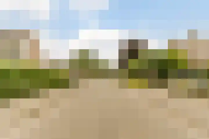 Hof 72 Dongen thumbnail 68