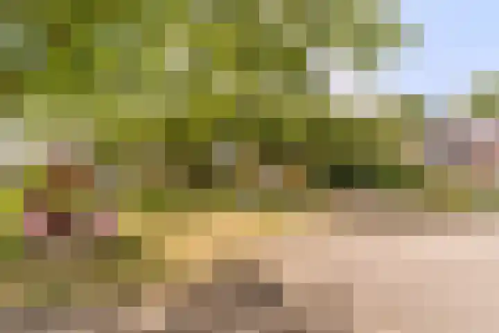 Hof 72 Dongen thumbnail 70