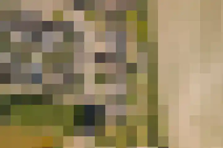 Hof 72 Dongen thumbnail 73