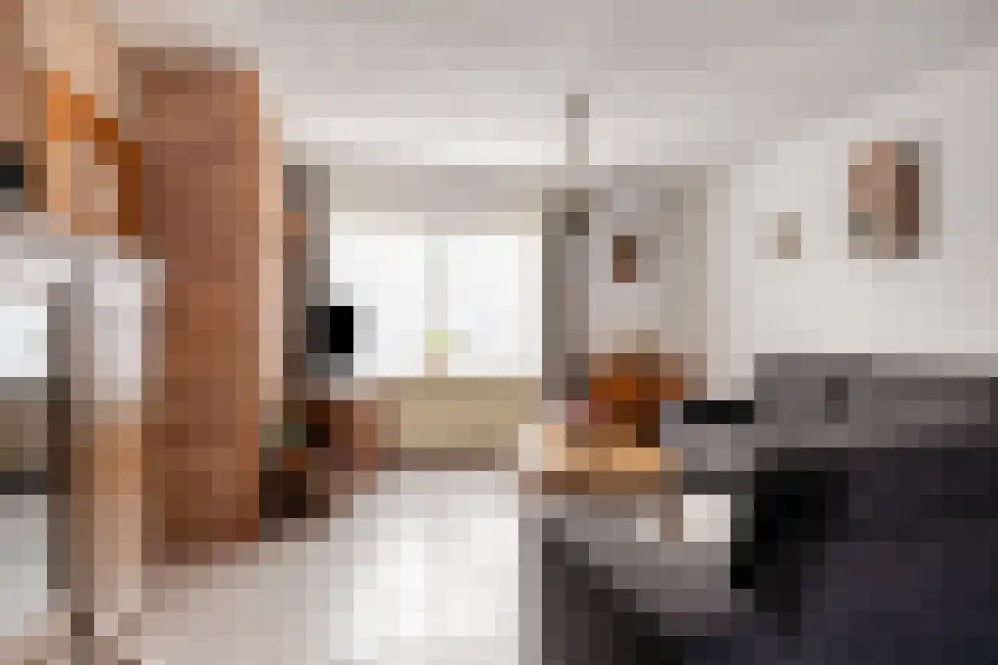 Hof 77 Dongen thumbnail 11