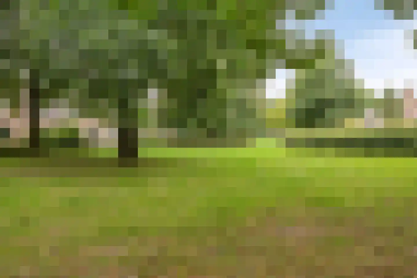 Hof 77 Dongen thumbnail 31