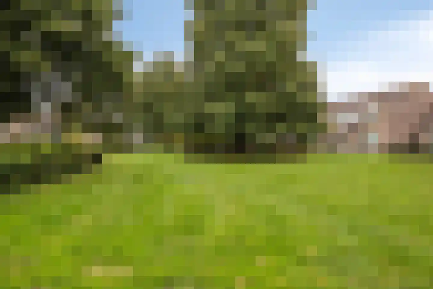 Hof 77 Dongen thumbnail 32