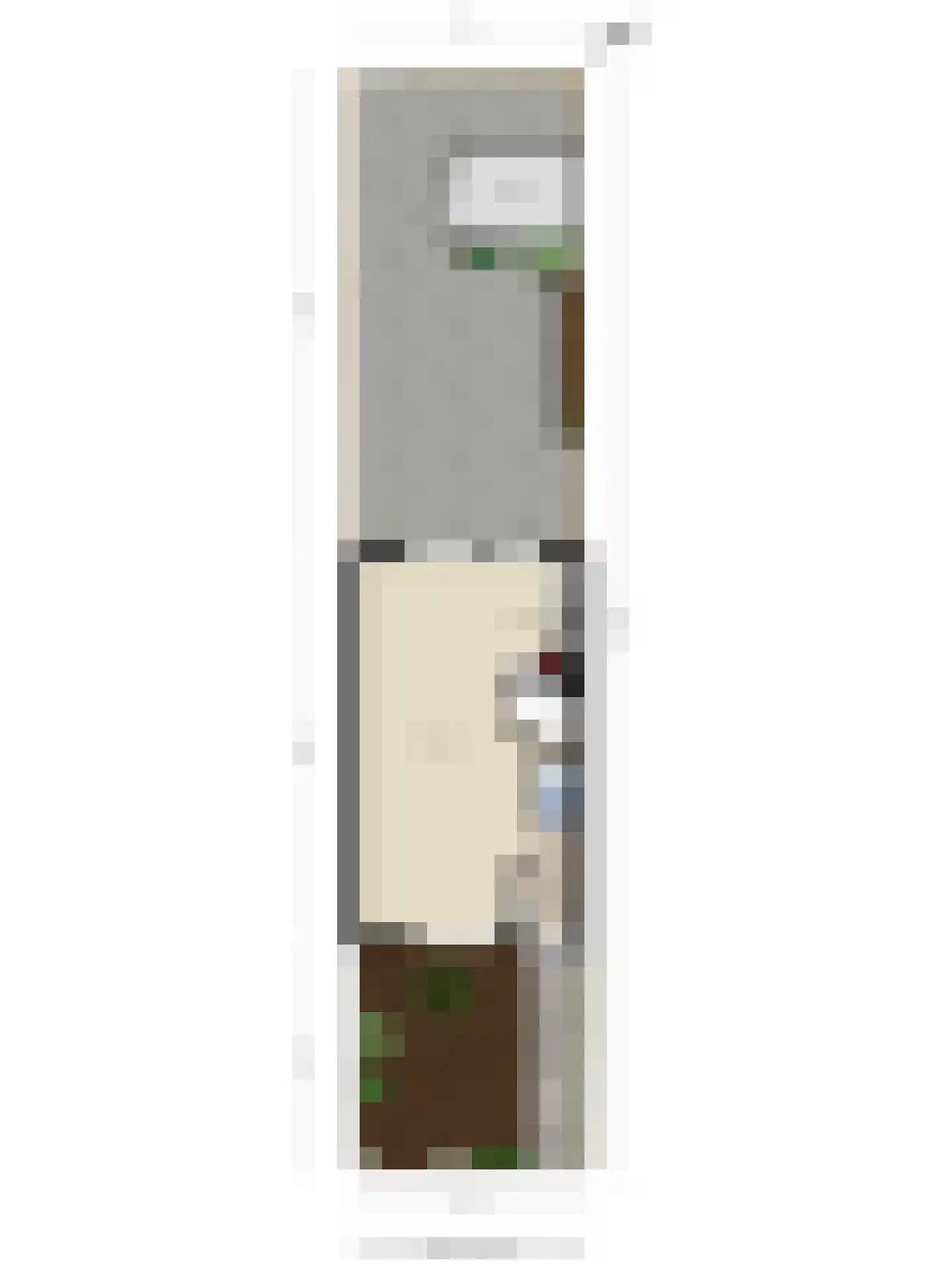 Hof 77 Dongen thumbnail 34