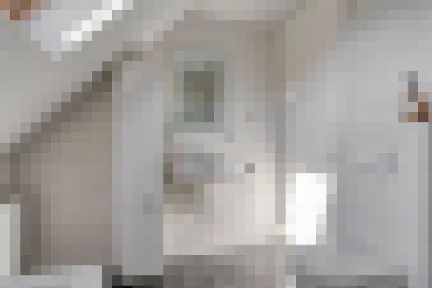 Hof 95 Dongen thumbnail 21