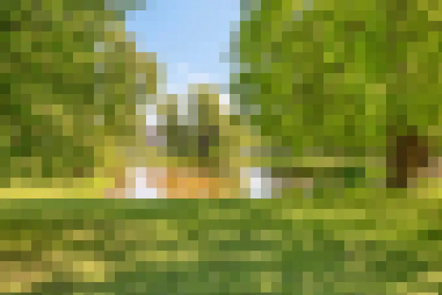 Hof 95 Dongen thumbnail 36