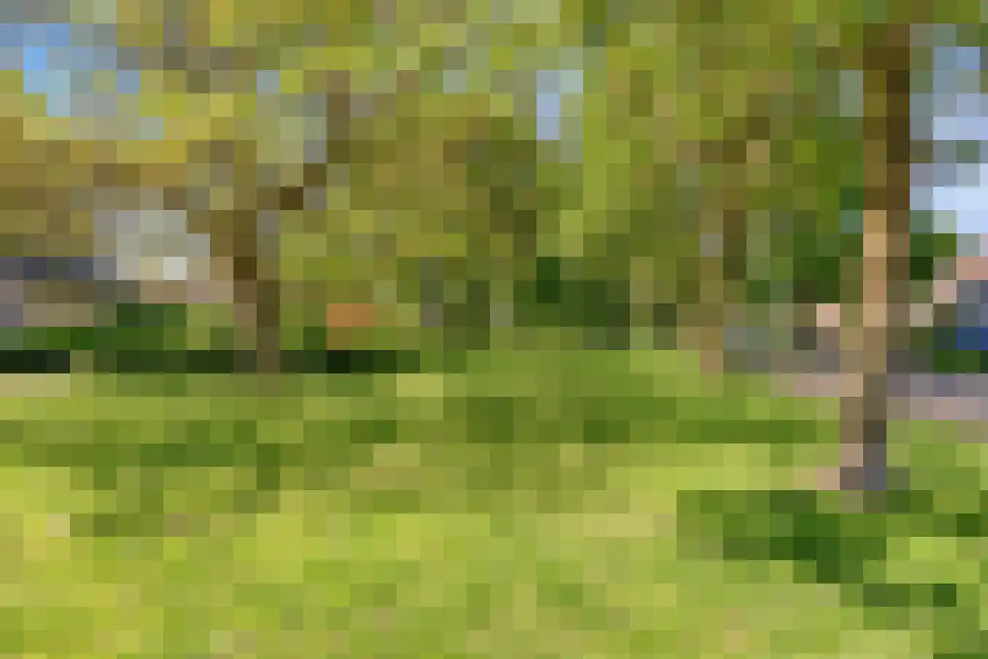 Hof 95 Dongen thumbnail 37