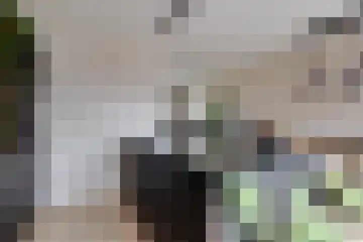 Hof aan de Boog 15 Mariënvelde thumbnail 15