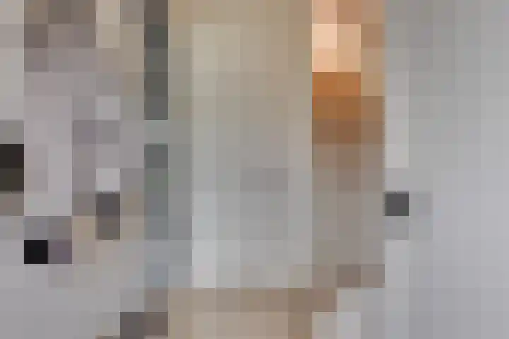 Hof aan de Boog 15 Mariënvelde thumbnail 19