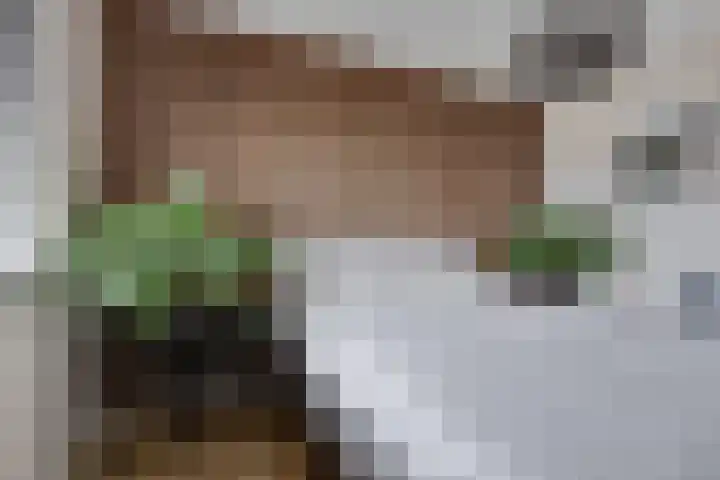 Hof aan de Boog 15 Mariënvelde thumbnail 22