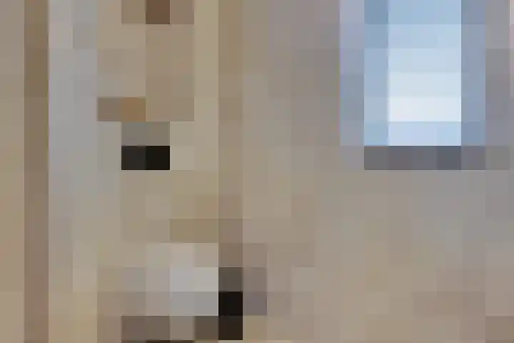 Hof aan de Boog 15 Mariënvelde thumbnail 28