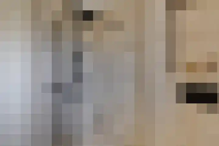 Hof aan de Boog 15 Mariënvelde thumbnail 29