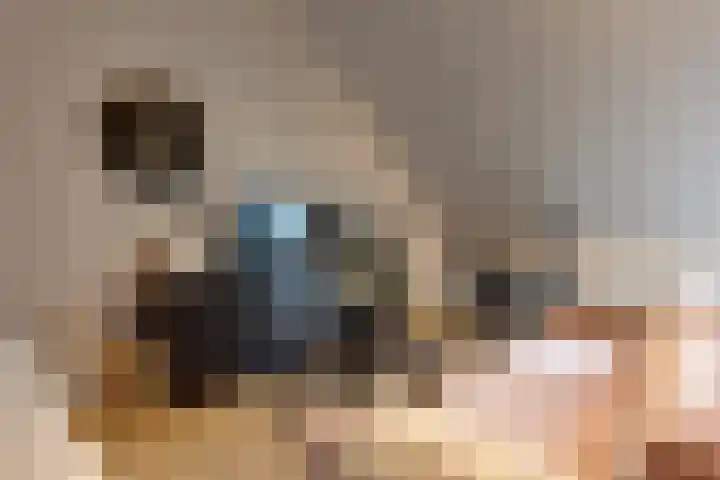 Hof aan de Boog 15 Mariënvelde thumbnail 30