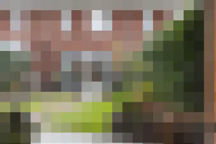 Hof aan de Boog 15 Mariënvelde thumbnail 34