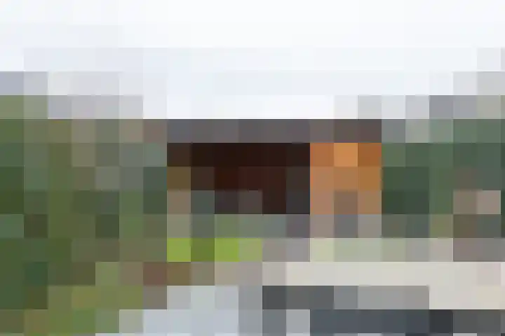 Hof aan de Boog 15 Mariënvelde thumbnail 37