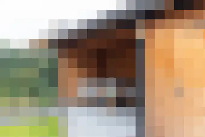 Hof aan de Boog 15 Mariënvelde thumbnail 40