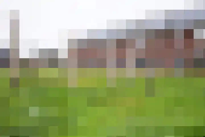 Hof aan de Boog 15 Mariënvelde thumbnail 43