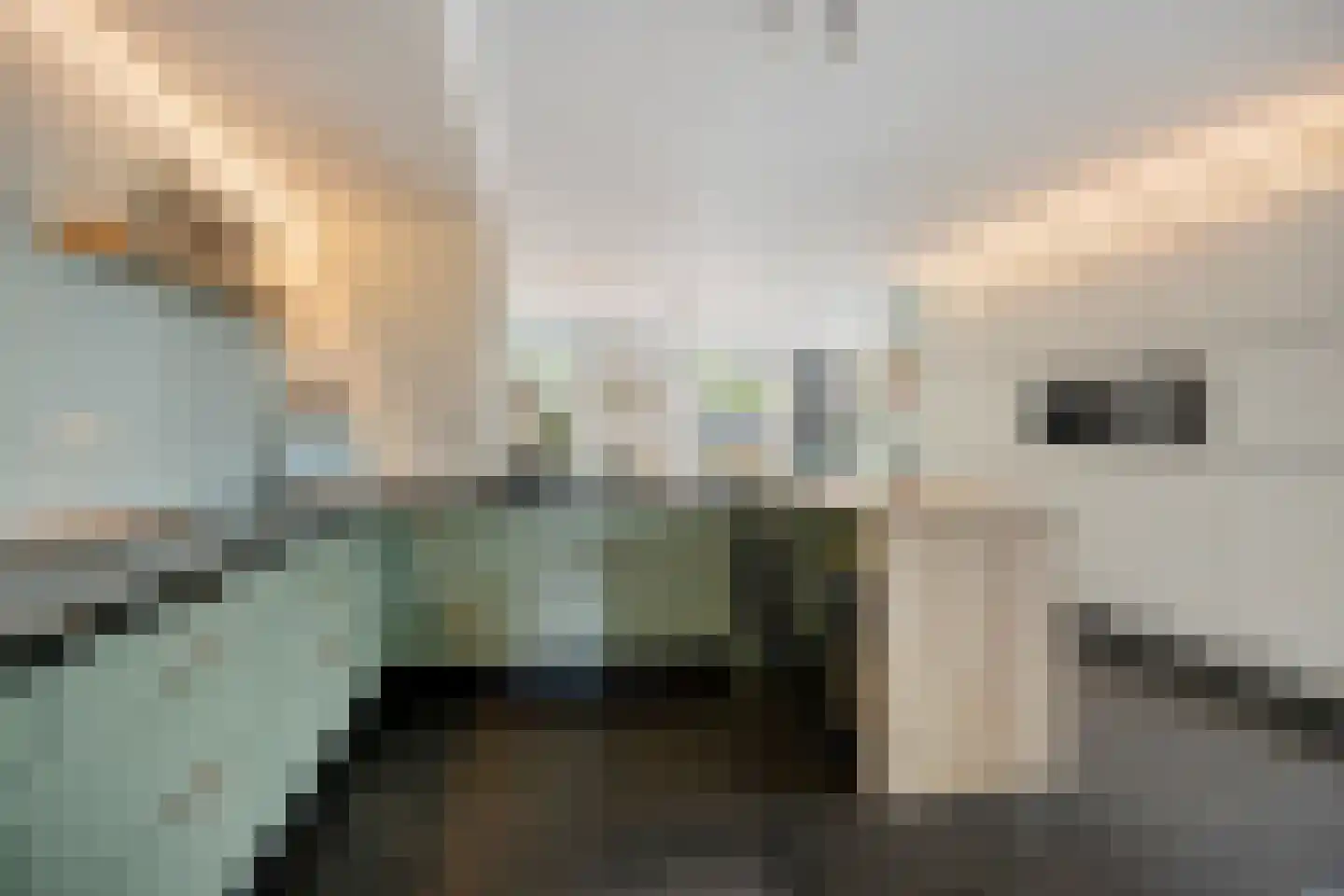 Hof Bruheze 427 Helmond thumbnail 17