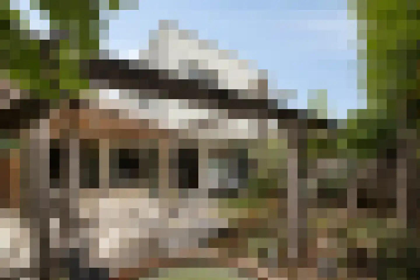 Hof Bruheze 427 Helmond thumbnail 6