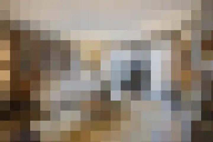 Hof De Hoop 2 Etten-Leur thumbnail 10