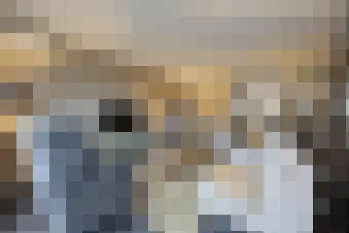 Hof De Hoop 2 Etten-Leur thumbnail 12