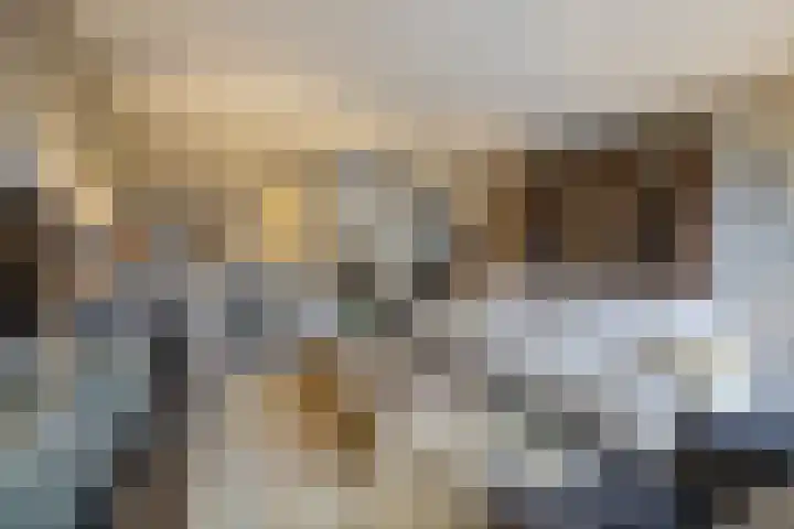 Hof De Hoop 2 Etten-Leur thumbnail 13