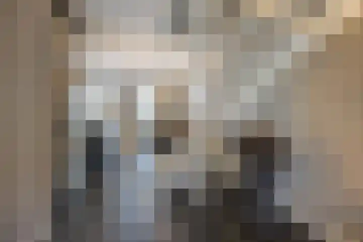 Hof De Hoop 2 Etten-Leur thumbnail 15