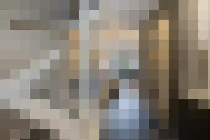 Hof De Hoop 2 Etten-Leur thumbnail 23