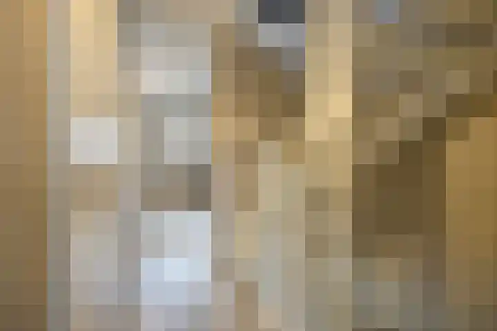 Hof De Hoop 2 Etten-Leur thumbnail 24