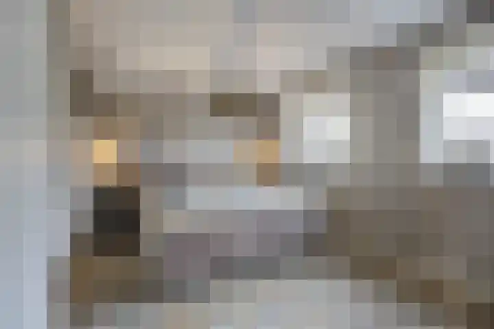 Hof De Hoop 2 Etten-Leur thumbnail 26