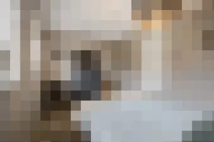 Hof De Hoop 2 Etten-Leur thumbnail 27