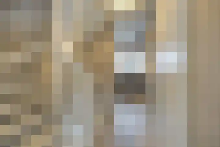 Hof De Hoop 2 Etten-Leur thumbnail 28